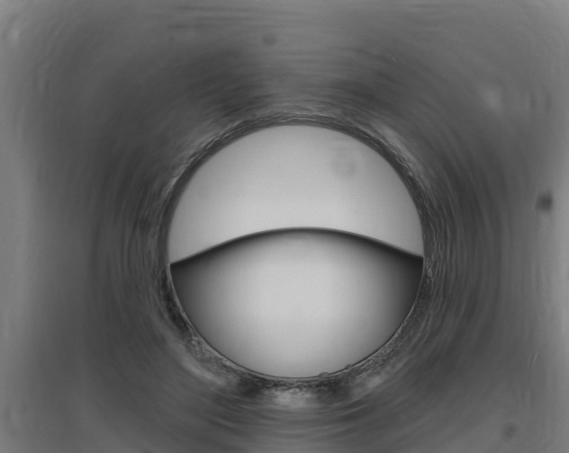 X0000097590500200802290752