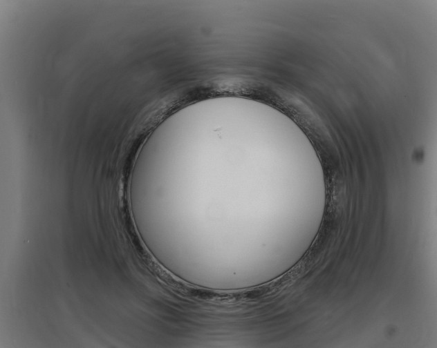 X0000097590502200802290752