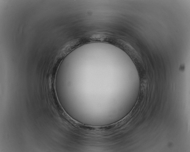 X0000097590504200802290752