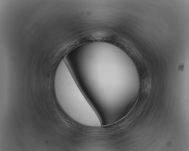 X0000097590505200802290752