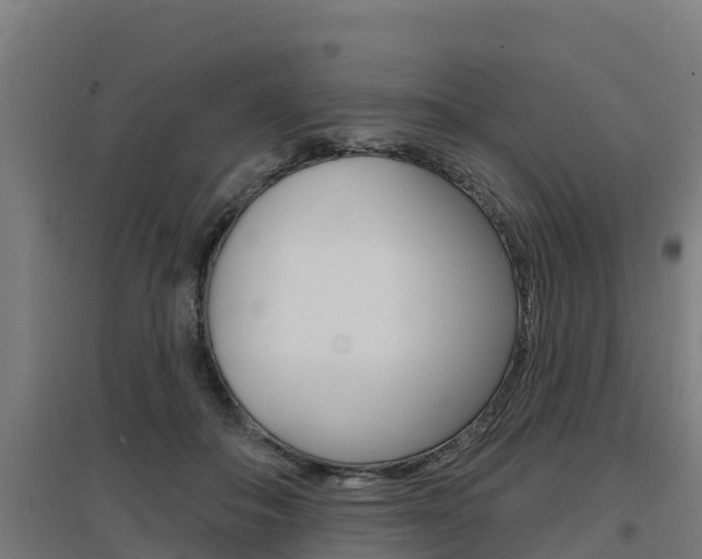 X0000097590506200802290752