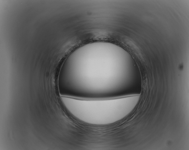 X0000097590508200802290752