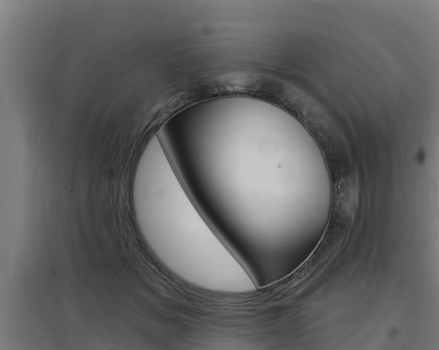 X0000097590509200802290752