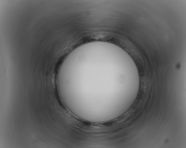 X0000097590510200802290752