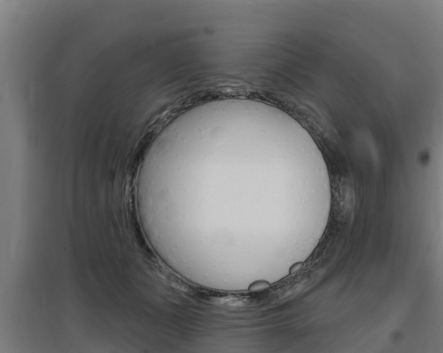X0000097590511200802290752