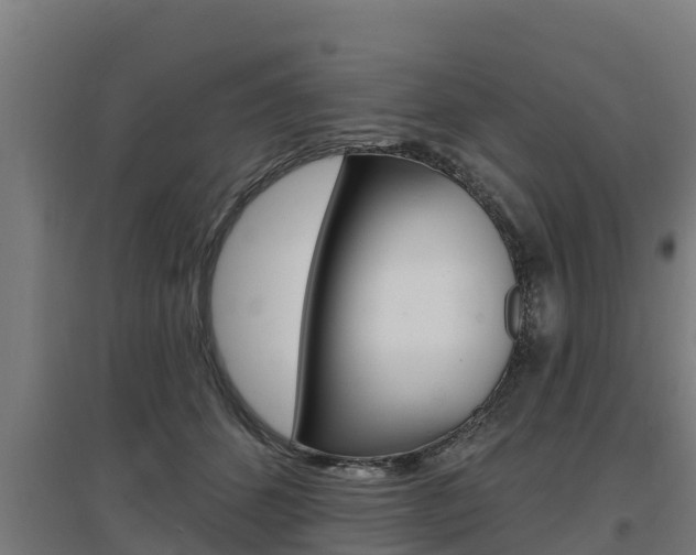X0000097590512200802290752