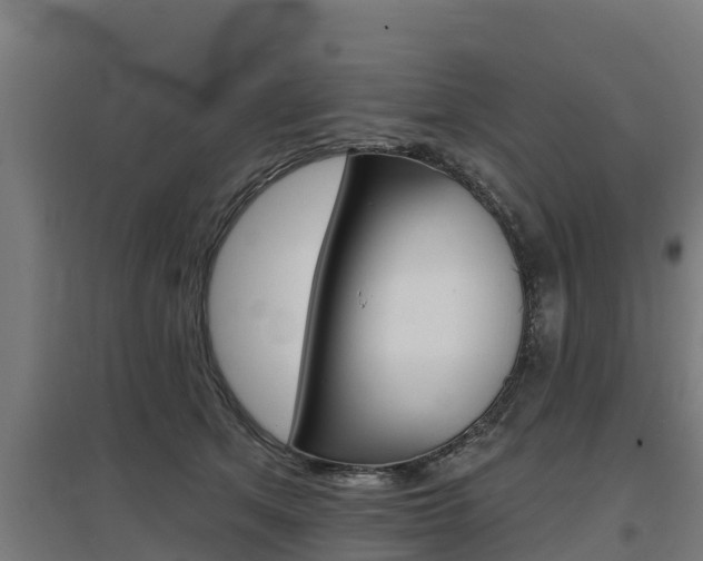 X0000097590513200802290752