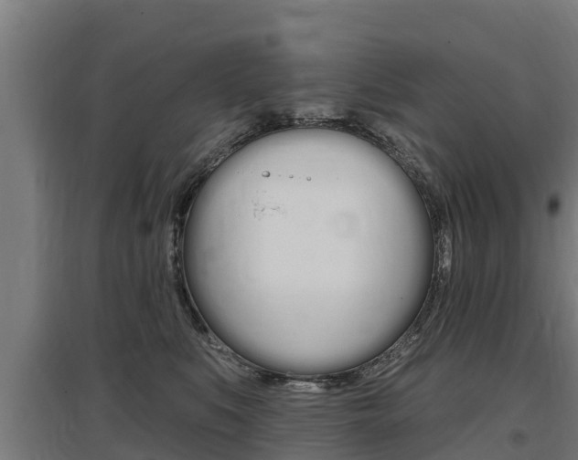 X0000097590519200802290752