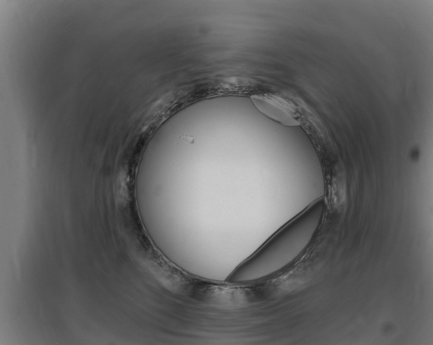 X0000097590520200802290752