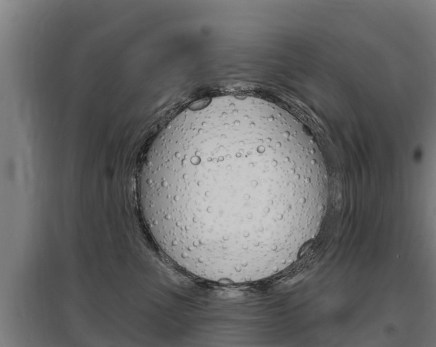 X0000097590523200802290752