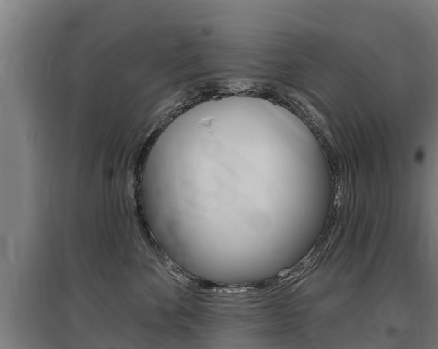 X0000097590524200802290752