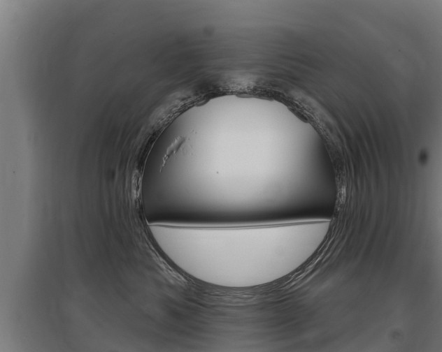 X0000097590525200802290752