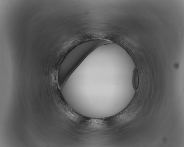 X0000097590528200802290752