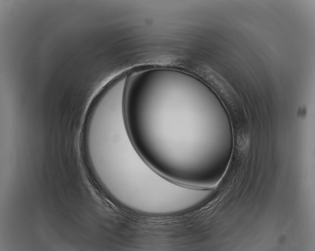 X0000097590532200802290751