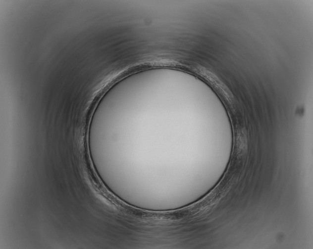 X0000097590533200802290751