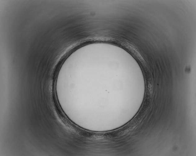 X0000097590534200802290751