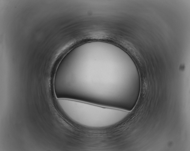 X0000097590535200802290751