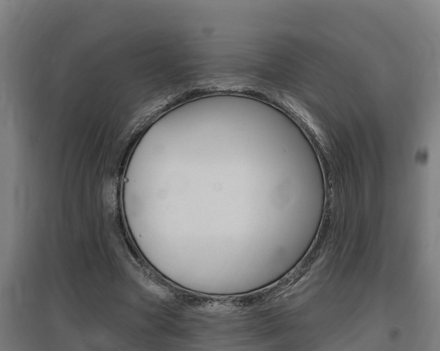 X0000097590537200802290751
