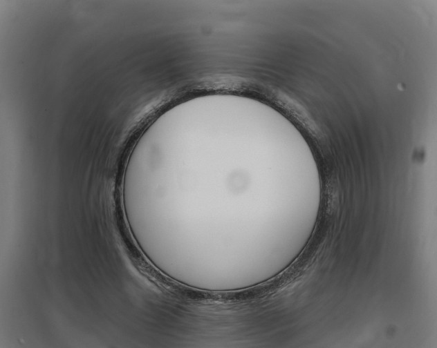 X0000097590538200802290751