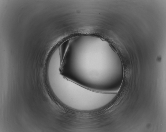 X0000097590540200802290751