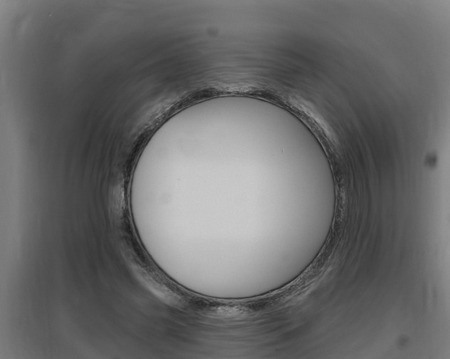 X0000097590541200802290751