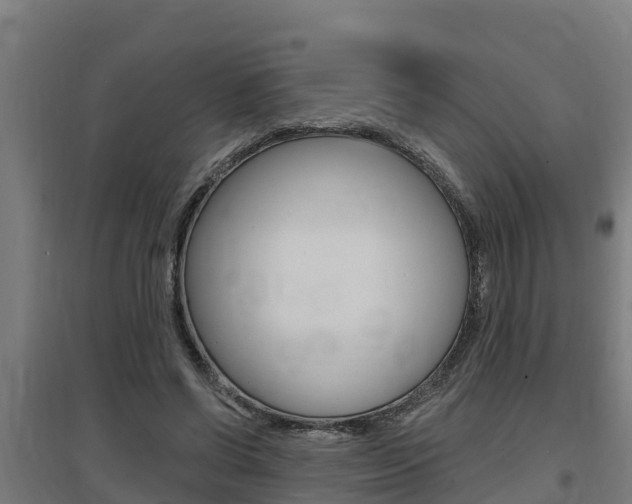 X0000097590542200802290751