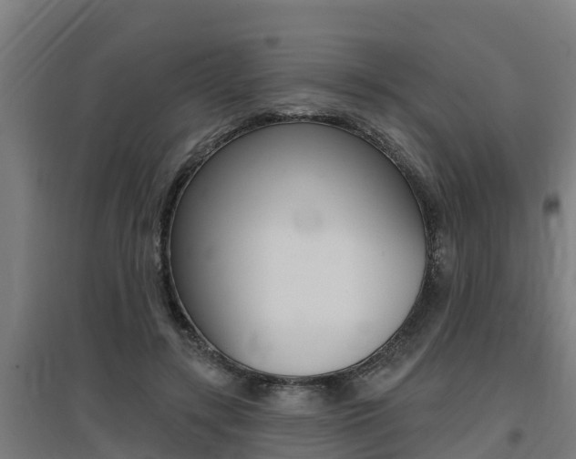 X0000097590547200802290752