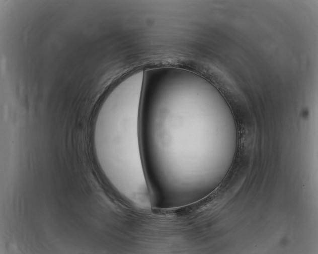 X0000097590548200802290752