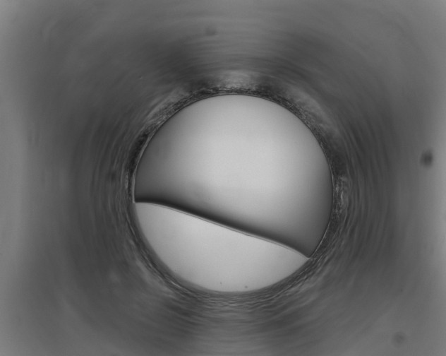 X0000097590550200802290752