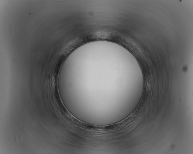 X0000097590551200802290752