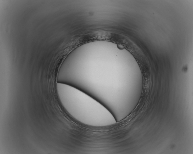 X0000097590553200802290752