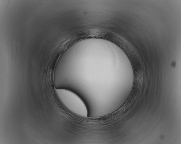 X0000097590554200802290752