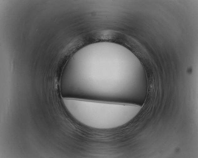 X0000097590555200802290752