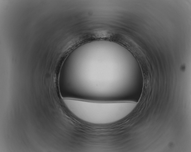 X0000097590556200802290752