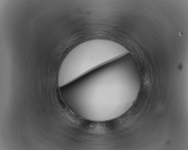 X0000097590559200802290752
