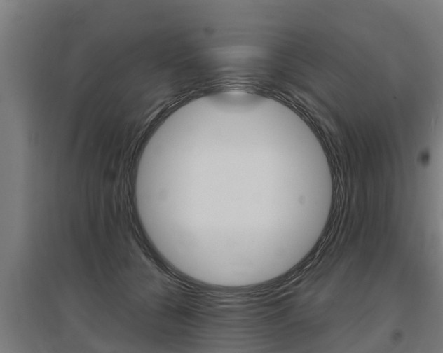X0000097590560200802290752