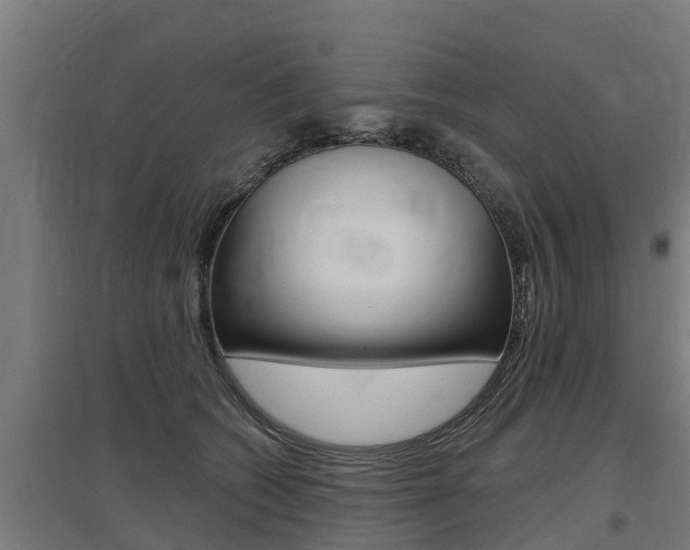 X0000097590562200802290752