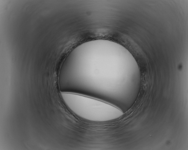 X0000097590563200802290752
