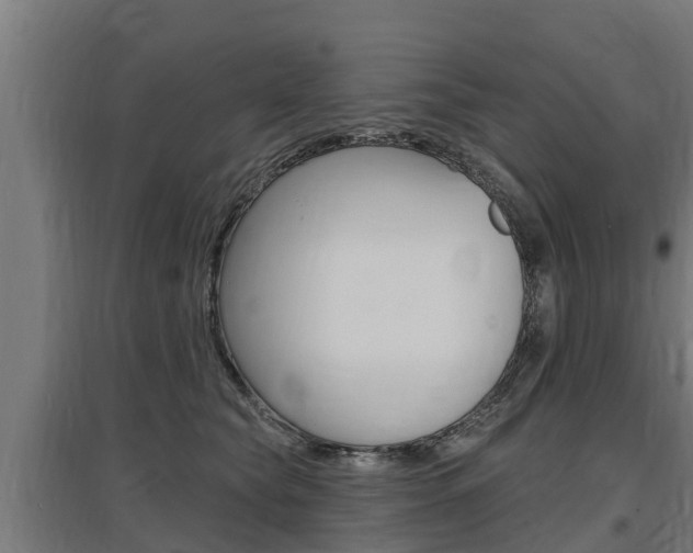 X0000097590565200802290752