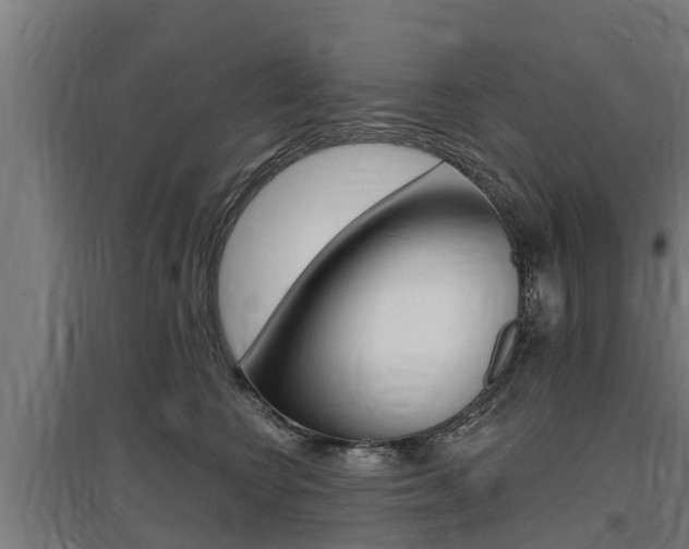 X0000097590566200802290752