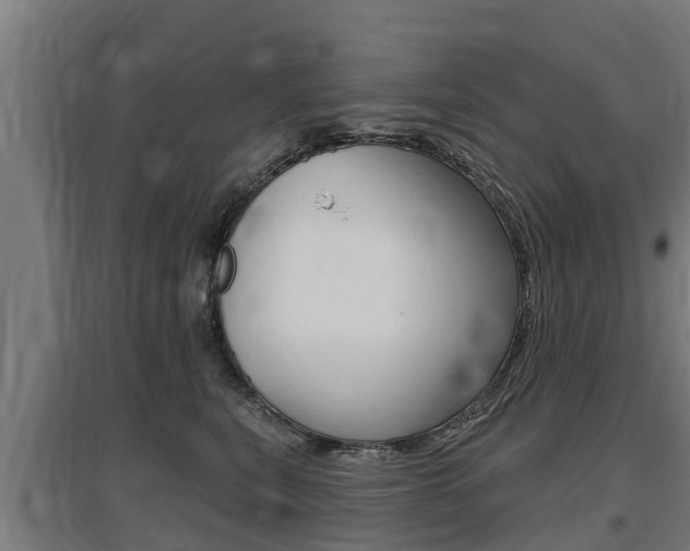 X0000097590567200802290752
