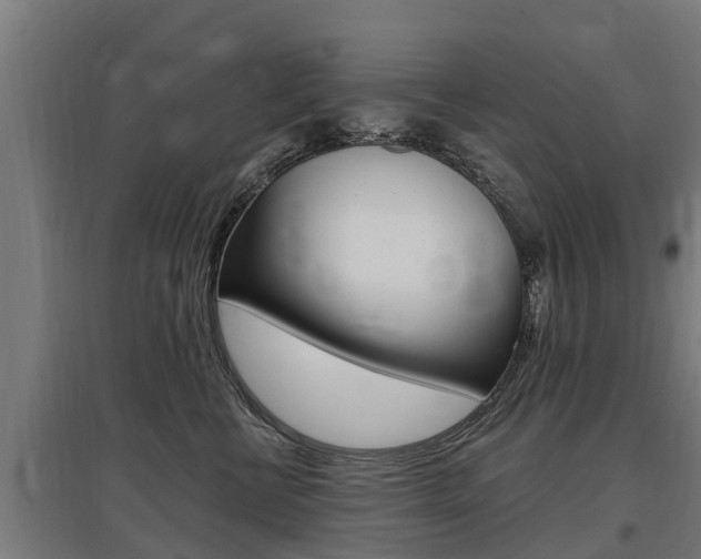 X0000097590570200802290752