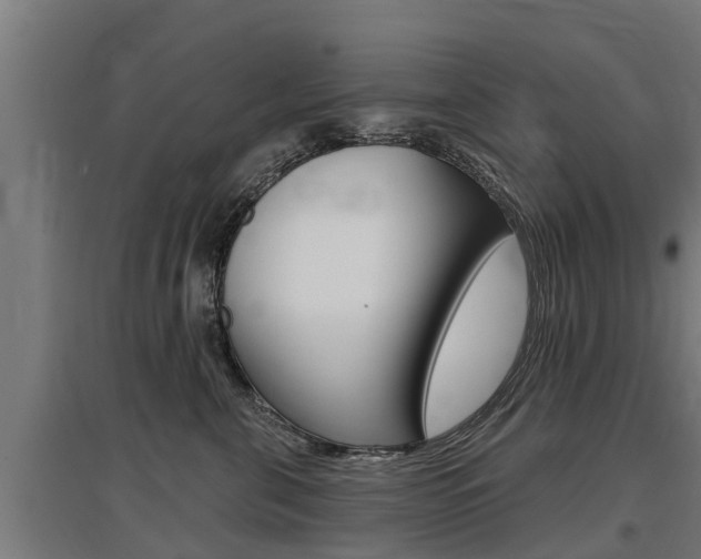 X0000097590571200802290752