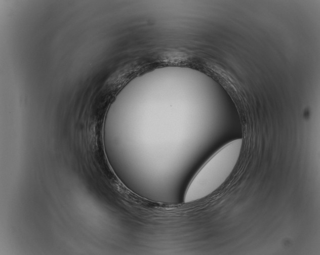 X0000097590572200802290752