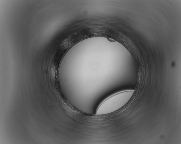 X0000097590574200802290752
