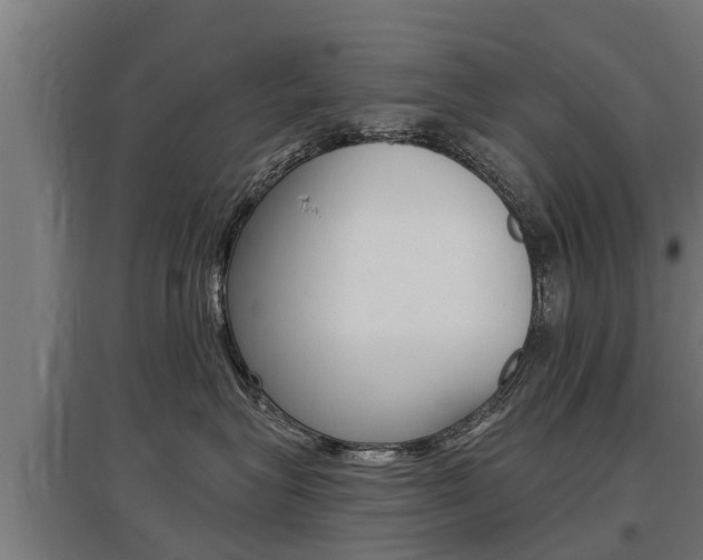 X0000097590575200802290752