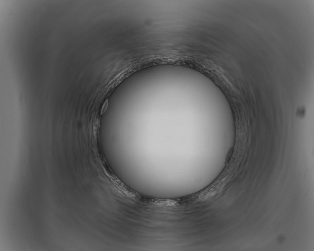 X0000097590576200802290752