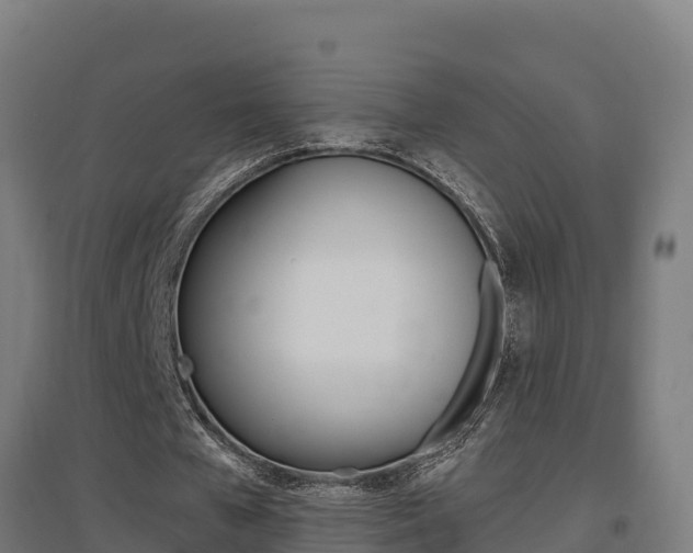 X0000097590577200802290751