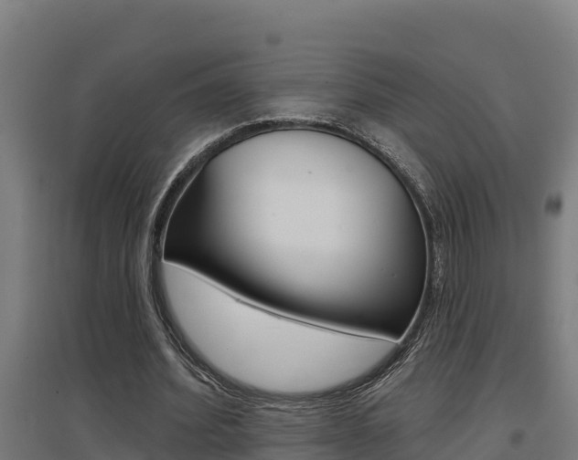 X0000097590580200802290751