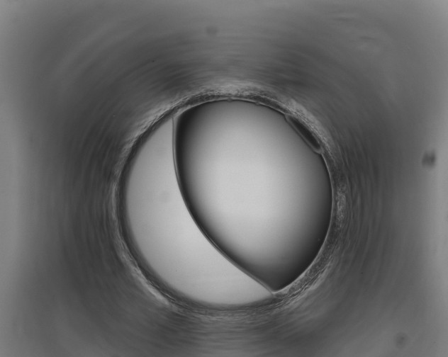 X0000097590581200802290751